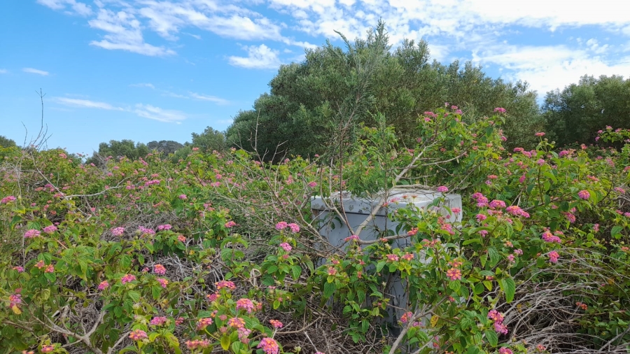 0 Bedroom Property for Sale in Emerald Heights Eastern Cape